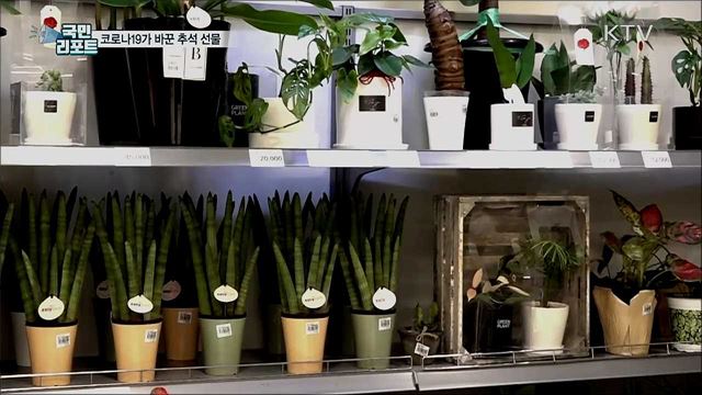 한가위 명절 선물···코로나19 관련 상품 '대세'