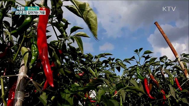 깊어가는 가을 [한국의 美]