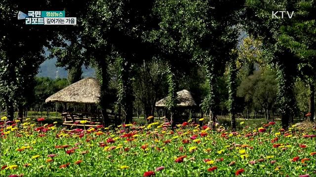 깊어가는 가을 [한국의 美]