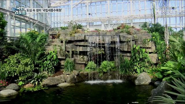 도심 속 쉼터 '국립세종수목원'···축구장 90개 크기