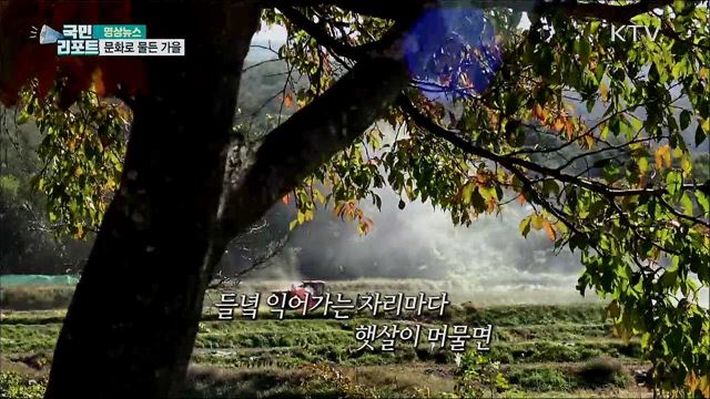 문화로 물든 마을 [한국의 美]