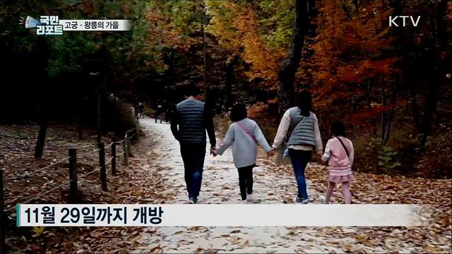 깊어진 가을···고궁·왕릉에서 느껴요