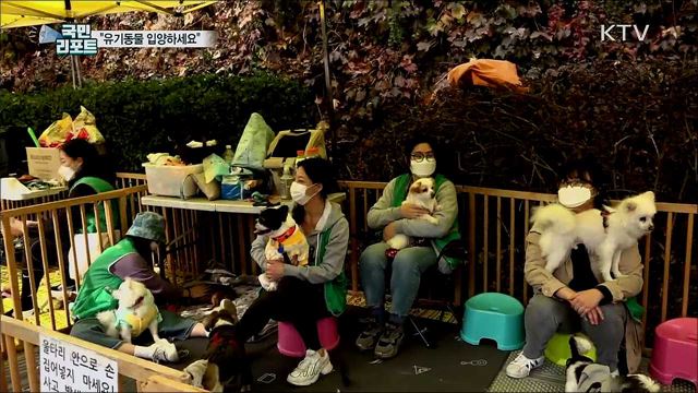 유기동물 입양 캠페인 재개···관심 끌어