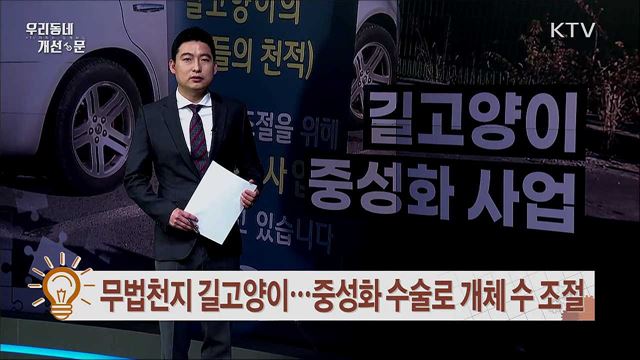 무법천지 길고양이···중성화 수술로 개체 수 조절