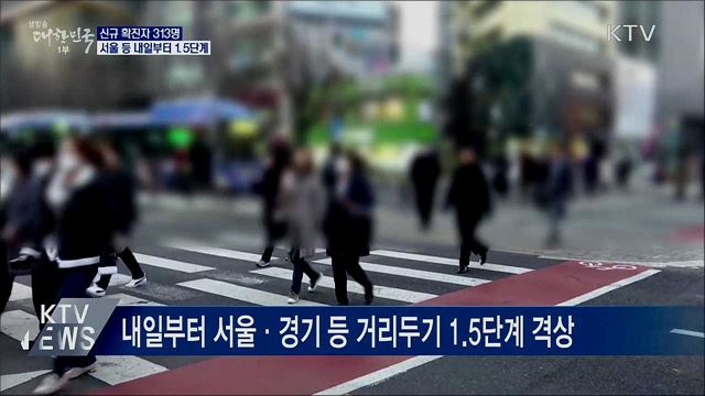 신규 313명···내일부터 서울·경기·광주 1.5 단계