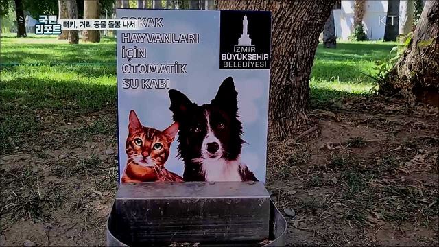 코로나19에 동물도 수난···터키, 거리 동물 돌봄 나서