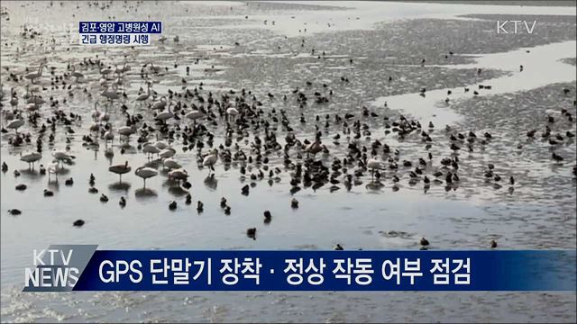 김포·영암 고병원성 AI···긴급 행정명령 발동