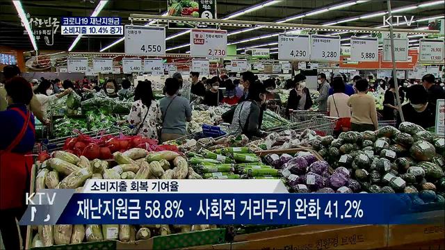 코로나19 재난지원금으로 소비지출 10.4% 증가