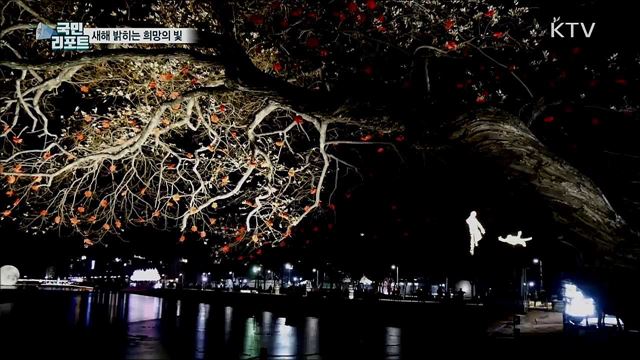 2021년 희망을 밝힌다···대구 수성못 빛으로 물들다