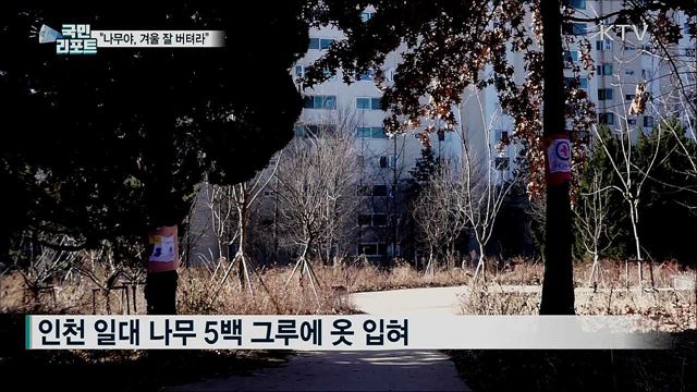 추위 속 나무에 옷 입혀준 푸근한 봉사