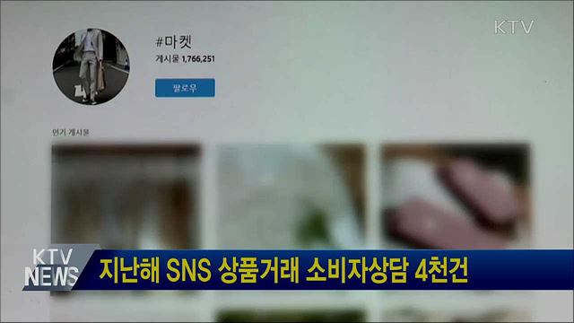 지난해 SNS 상품거래 소비자상담 4천건