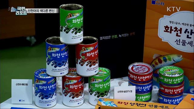 화천 산천어축제 취소···산천어, 식탁으로 온다!