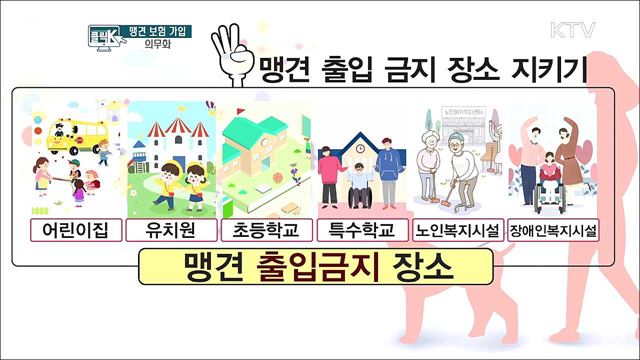 맹견 보험 가입 의무화 [클릭K]