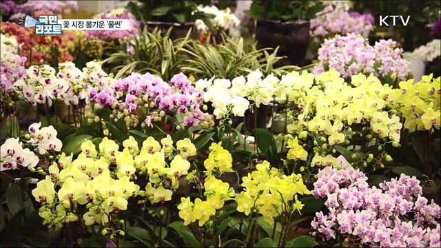 오늘 입춘···꽃 시장 봄 향기 가득