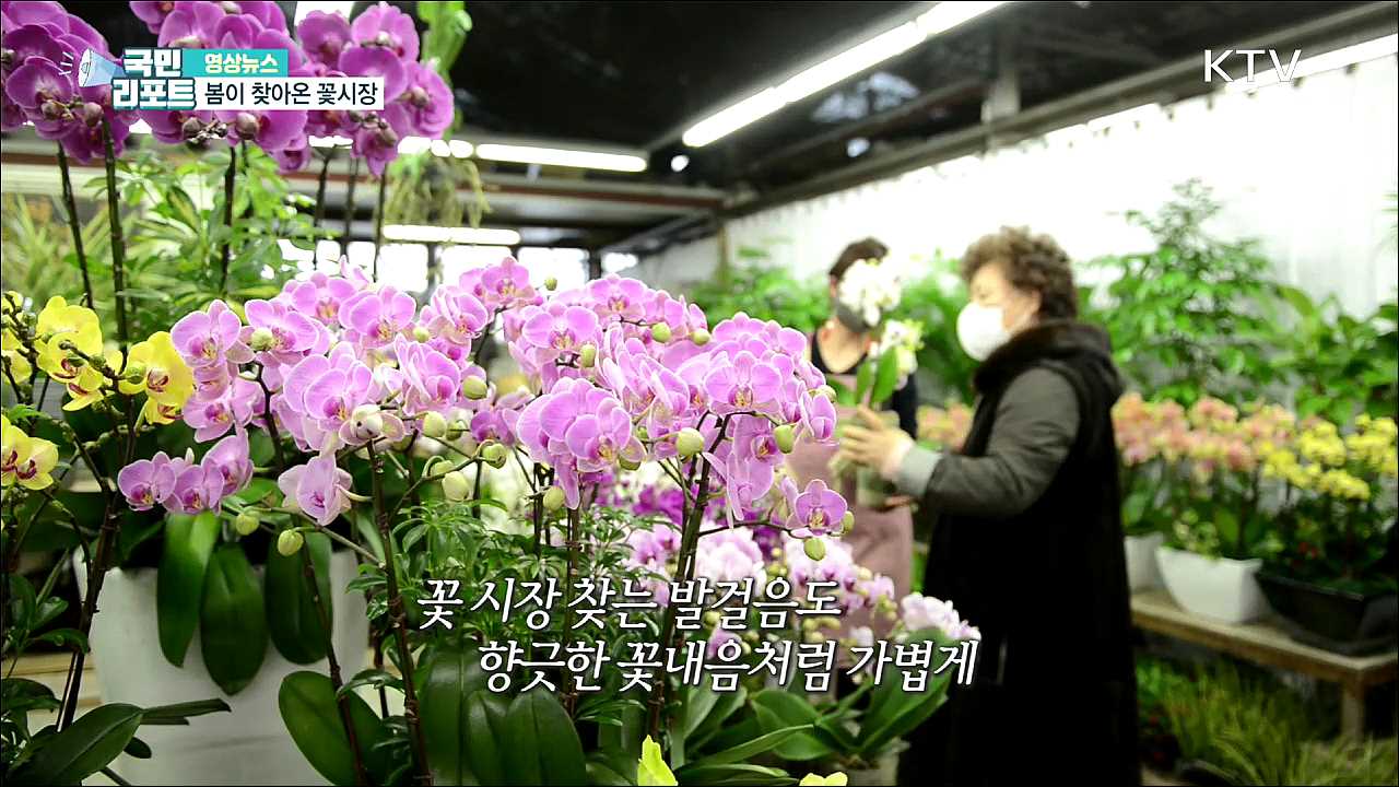 봄이 찾아온 꽃시장 [한국의 美]