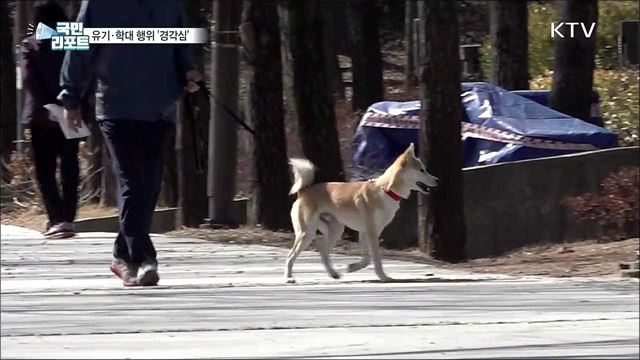 반려동물 유기·학대 처벌 수위 높여 '경각심’