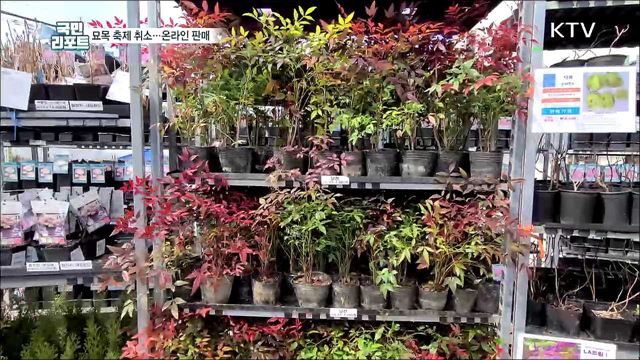 전국 최대 묘목 산지 축제 대신 온라인 판매