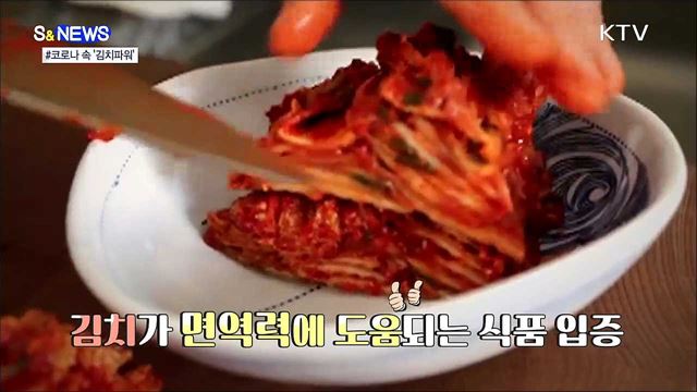 김치가 코로나 회복제? [S&News]