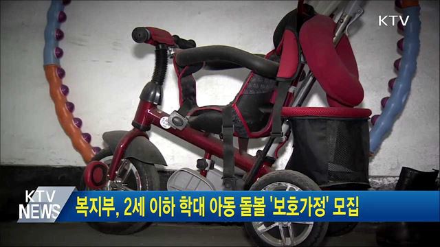 복지부, 2세 이하 학대 아동 돌볼 '보호가정' 모집