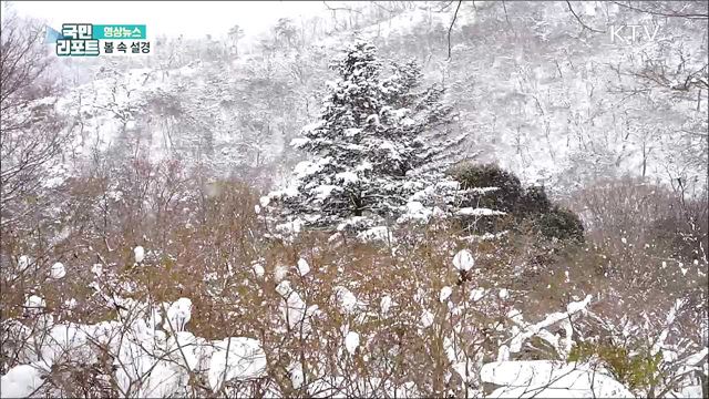 봄 속 설경 [한국의 美]