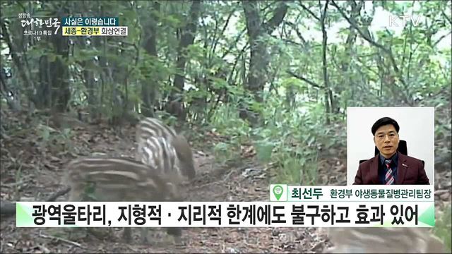 아프리카돼지열병, 광역울타리 설치는 효과 없다? [사실은 이렇습니다]