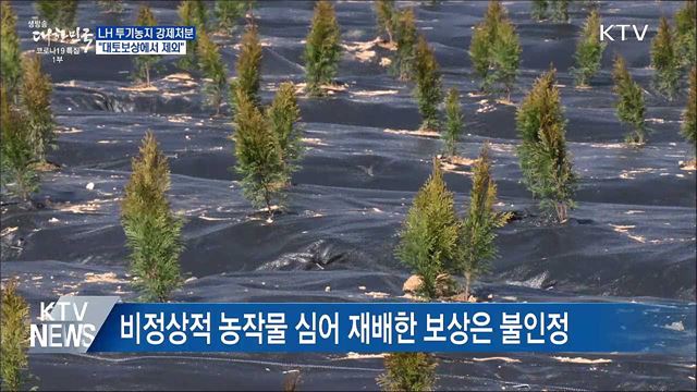 "LH 직원 투기농지 강제처분"···대토보상 배제