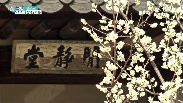 창덕궁의 봄 [한국의 美]