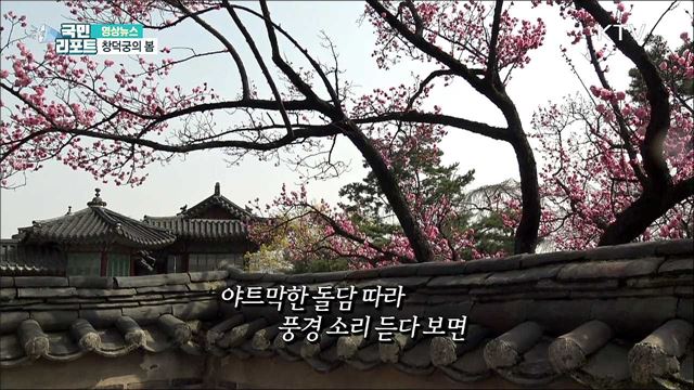 창덕궁의 봄 [한국의 美]