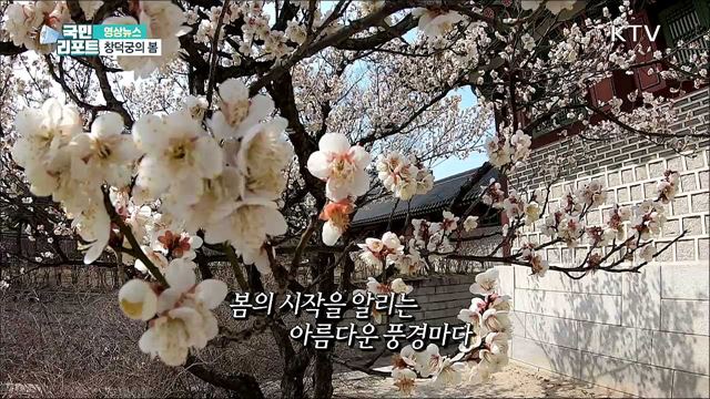 창덕궁의 봄 [한국의 美]