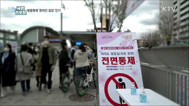 벚꽃 축제 줄줄이 취소 '온라인 감상' 인기
