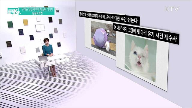 우리는 당신의 학대 대상이 아니다 동물보호법 [클릭K]