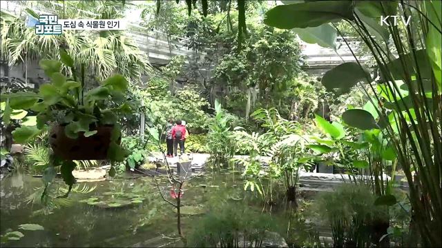 도심 속 서울식물원 인기, 관람객 천만 명 넘어
