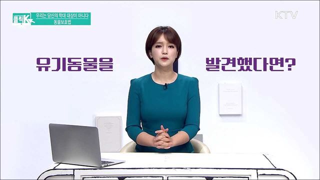 우리는 당신의 학대 대상이 아니다 동물보호법 [클릭K]