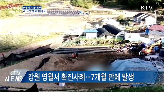 영월서 ASF 확진···48시간 '일시이동중지'