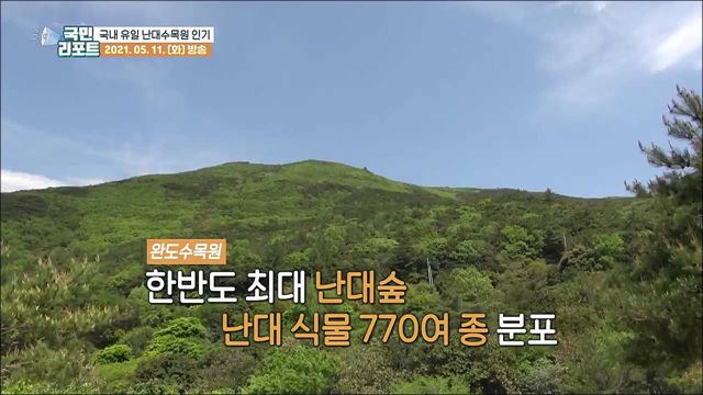 국내 첫 국립난대수목원 관광객 늘어