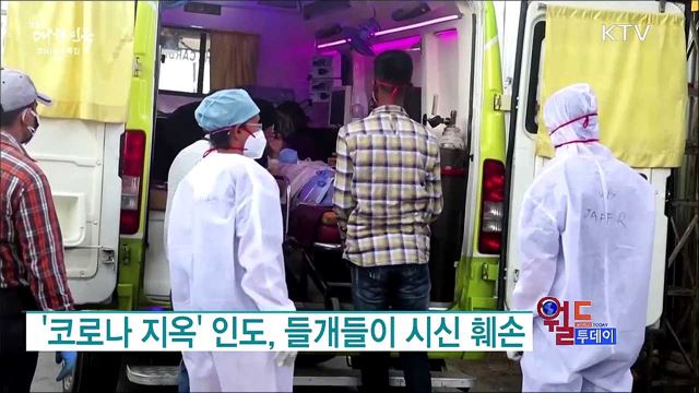 '코로나 지옥' 인도, 들개들이 시신 훼손 [월드 투데이]