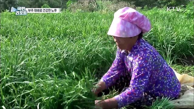 소득과 건강 챙기는 '부추 마을' 어르신들