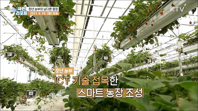 대기업 출신 청년 농부 '스마트 농장'에 열정
