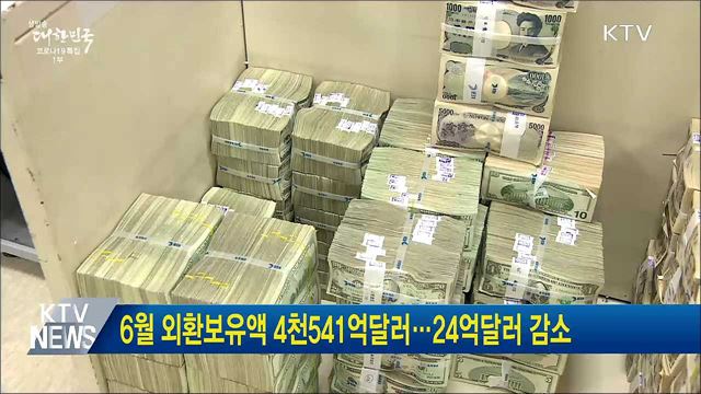 6월 외환보유액 4천541억달러···24억달러 감소