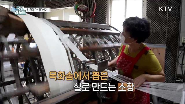 건강과 환경을 위한 소비, 강화 '소창' 인기