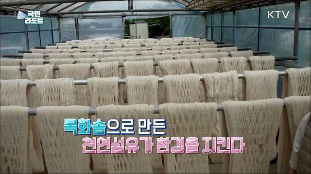 건강과 환경을 위한 소비, 강화 '소창' 인기