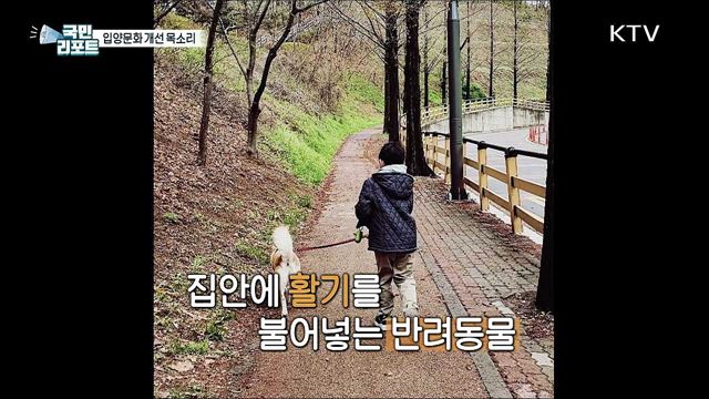 유기견 증가 속 입양문화 개선 목소리 커져