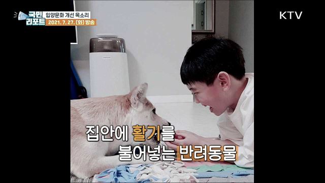 유기견 증가 속 입양문화 개선 목소리 커져