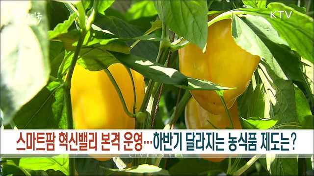 생방송 대한민국 1부 (894회)