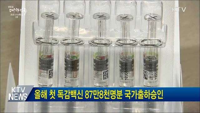 올해 첫 독감백신 87만8천명분 국가출하승인