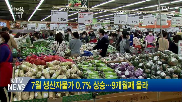 7월 생산자물가 0.7% 상승···9개월째 올라