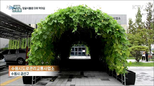 햇빛 막아주고 공기 정화하는 '그린커튼’