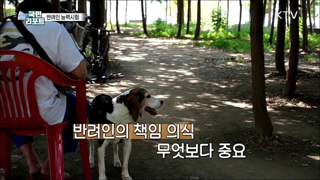 반려인 능력시험, 강제성 없어 실효책 필요