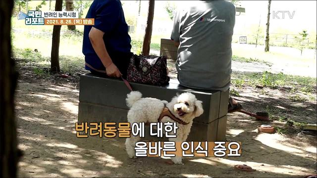 반려인 능력시험, 강제성 없어 실효책 필요