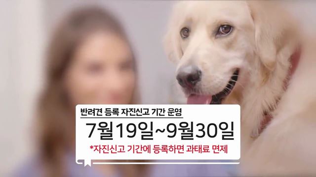 반려견 등록 자진신고 기간 - 농림축산식품부